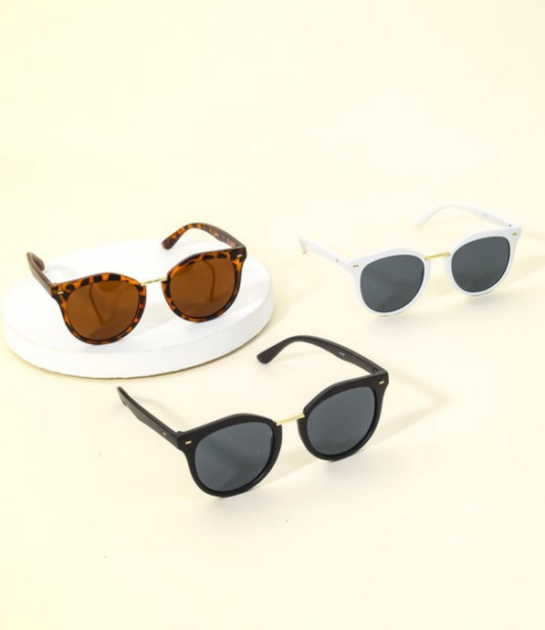 Acetate Frame Wayfarer Sunglasses (4 Colors Available)