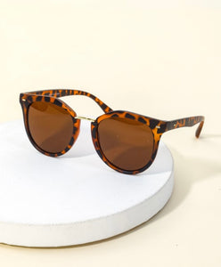 Acetate Frame Wayfarer Sunglasses